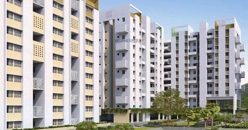 Rohan Anand Cover Image